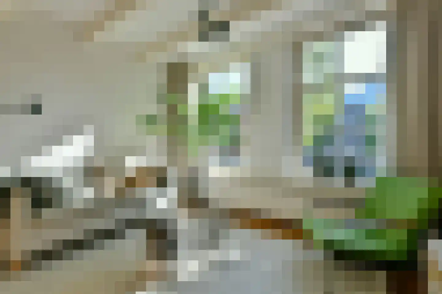 Prinsengracht 102 Amsterdam thumbnail 14