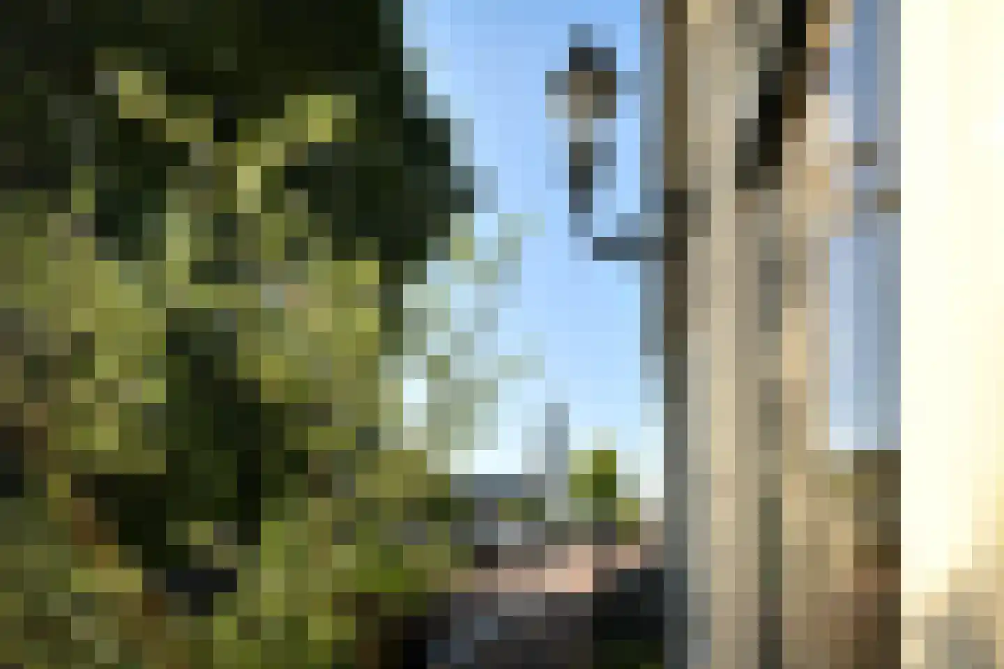 Prinsengracht 102 Amsterdam thumbnail 4