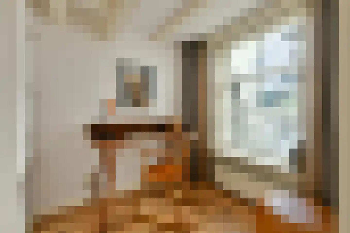 Prinsengracht 102 Amsterdam thumbnail 9
