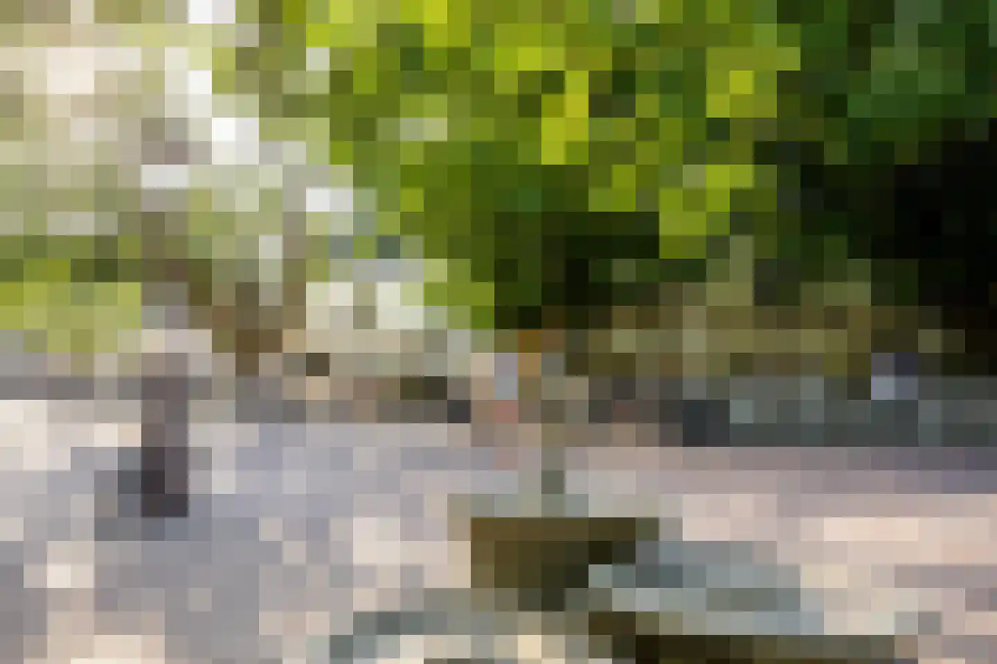 Prinsengracht 1033 B Amsterdam thumbnail 29