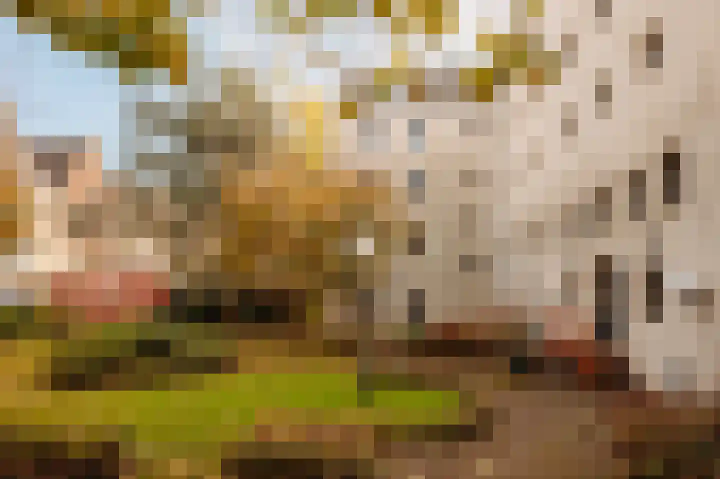 Prinsengracht 1033 C Amsterdam thumbnail 6
