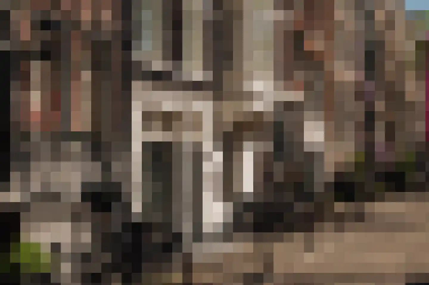Prinsengracht 1073 A Amsterdam thumbnail 25