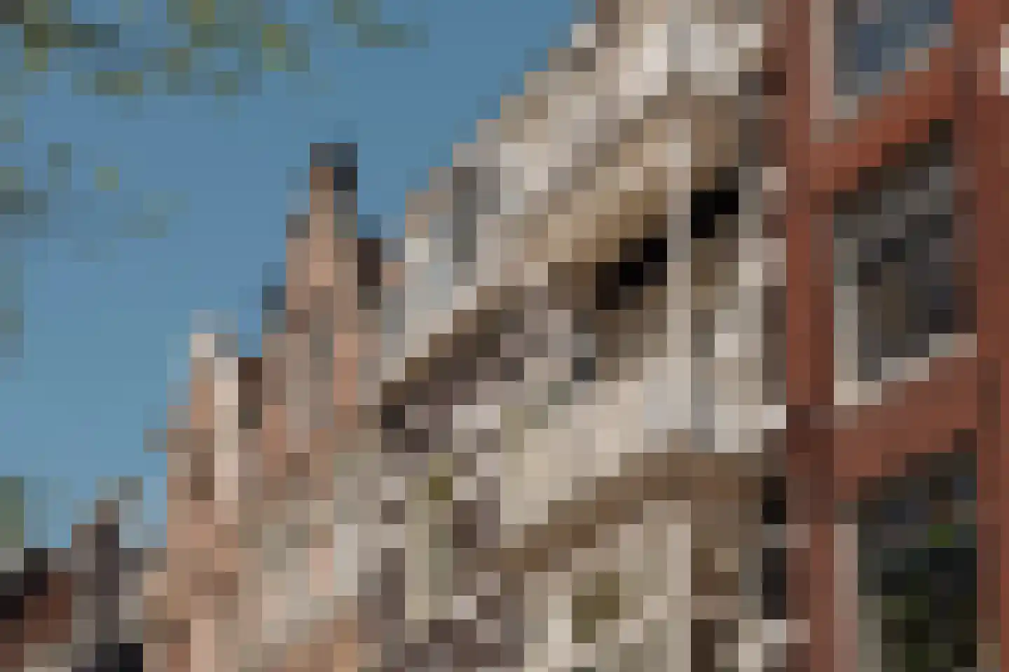 Prinsengracht 1073 A Amsterdam thumbnail 5