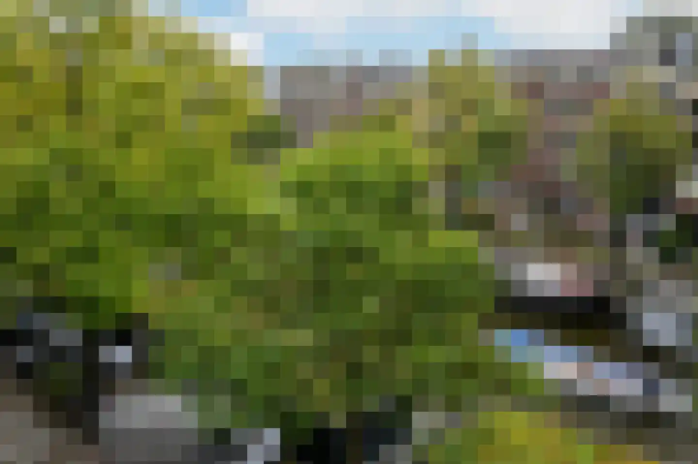 Prinsengracht 1077 H Amsterdam thumbnail 9