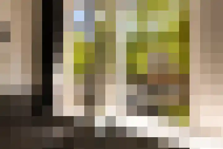 Prinsengracht 1115 H Amsterdam thumbnail 9
