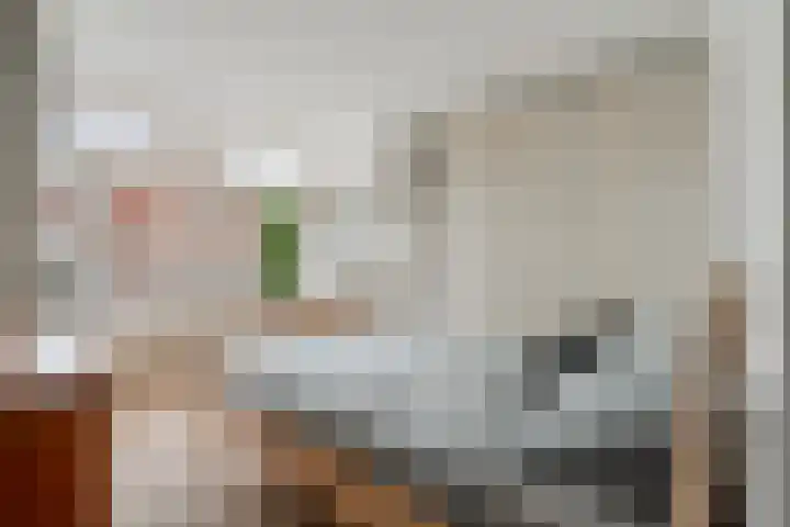 Prinsengracht 1123 D Amsterdam thumbnail 16