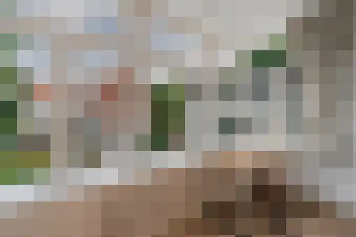 Prinsengracht 1123 D Amsterdam thumbnail 18