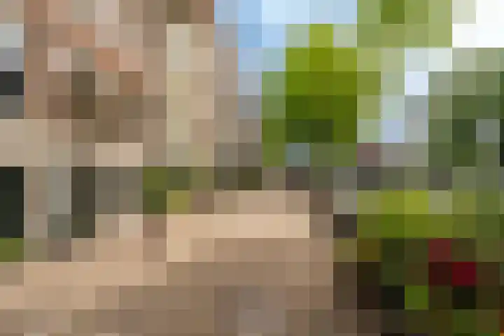 Prinsengracht 1123 D Amsterdam thumbnail 24