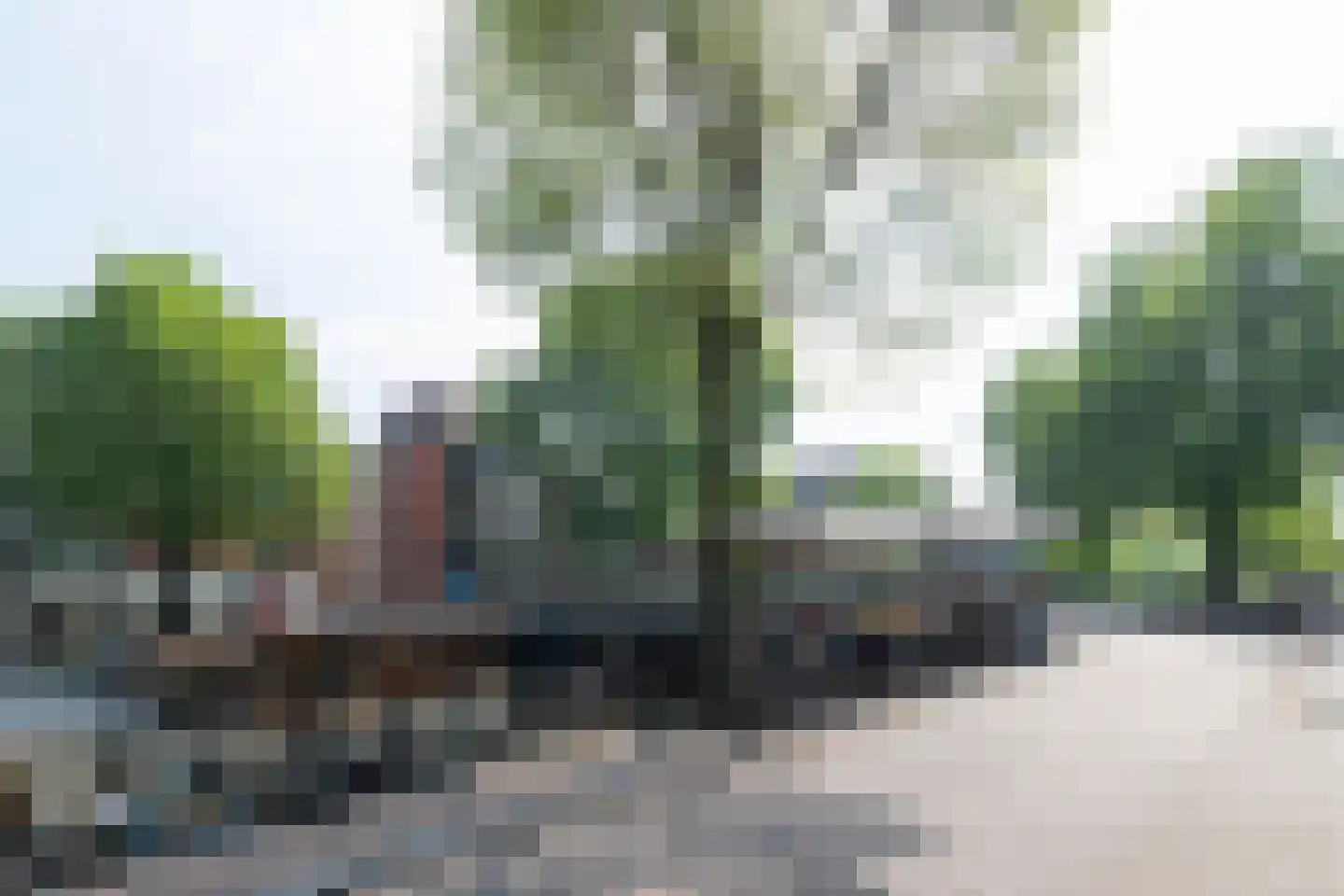 Prinsengracht 197 A Amsterdam thumbnail 18