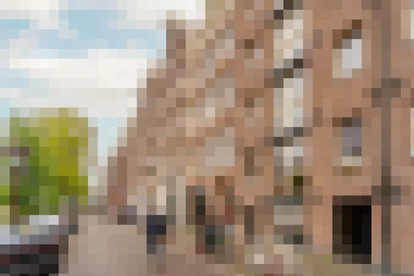 Prinsengracht 199 B Amsterdam thumbnail 44