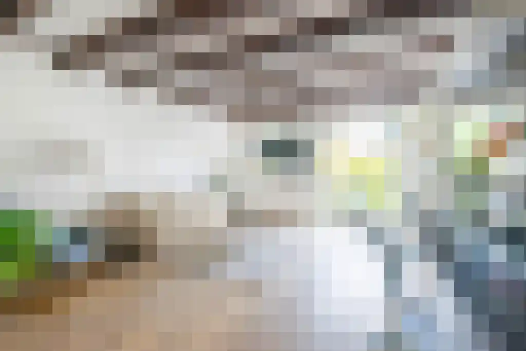 Prinsengracht 211 F Amsterdam thumbnail 6