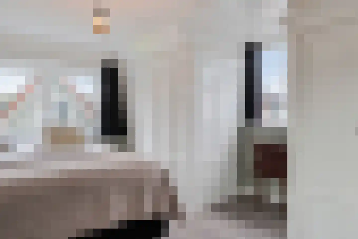 Prinsengracht 23 Zuid-Scharwoude thumbnail 36