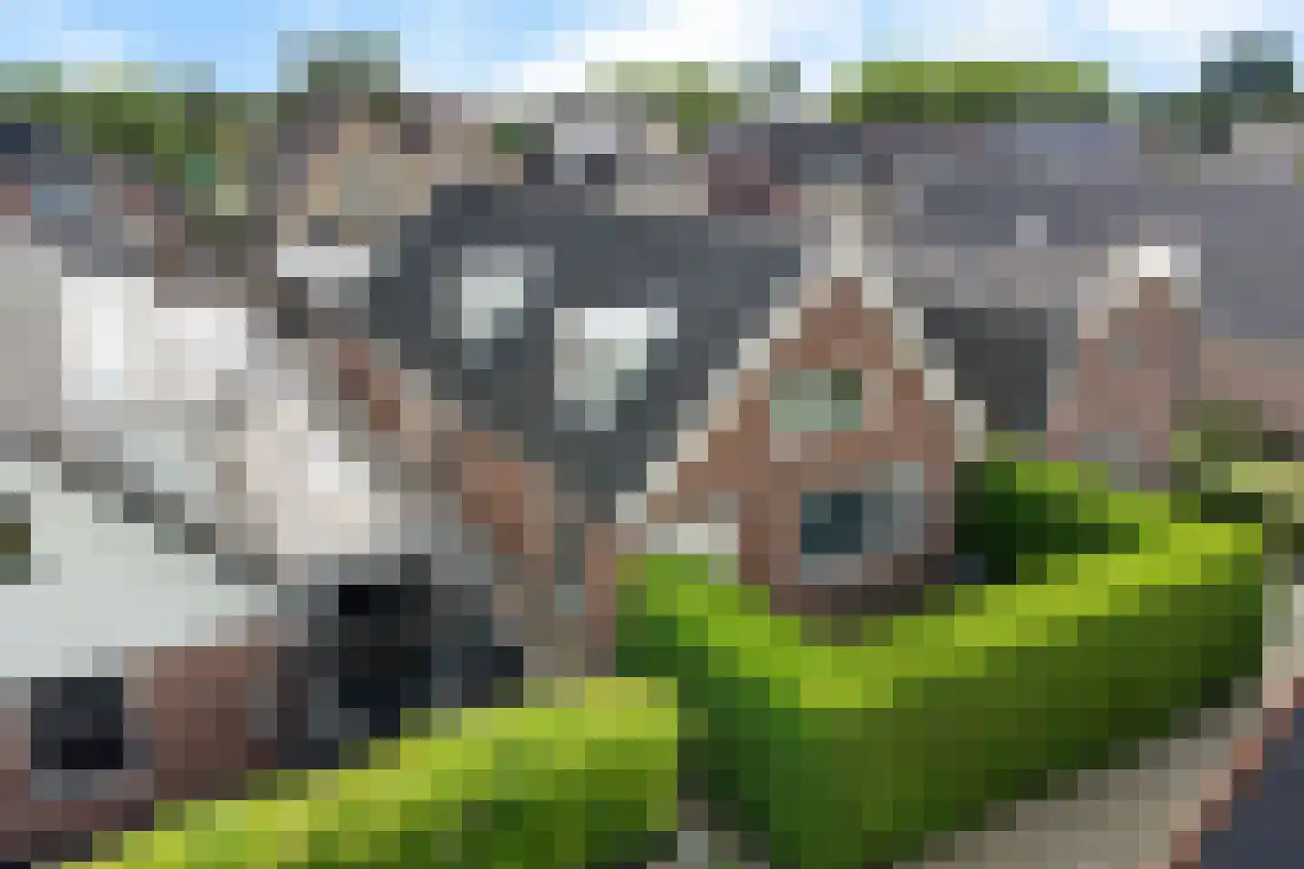 Prinsengracht 23 Zuid-Scharwoude thumbnail 4
