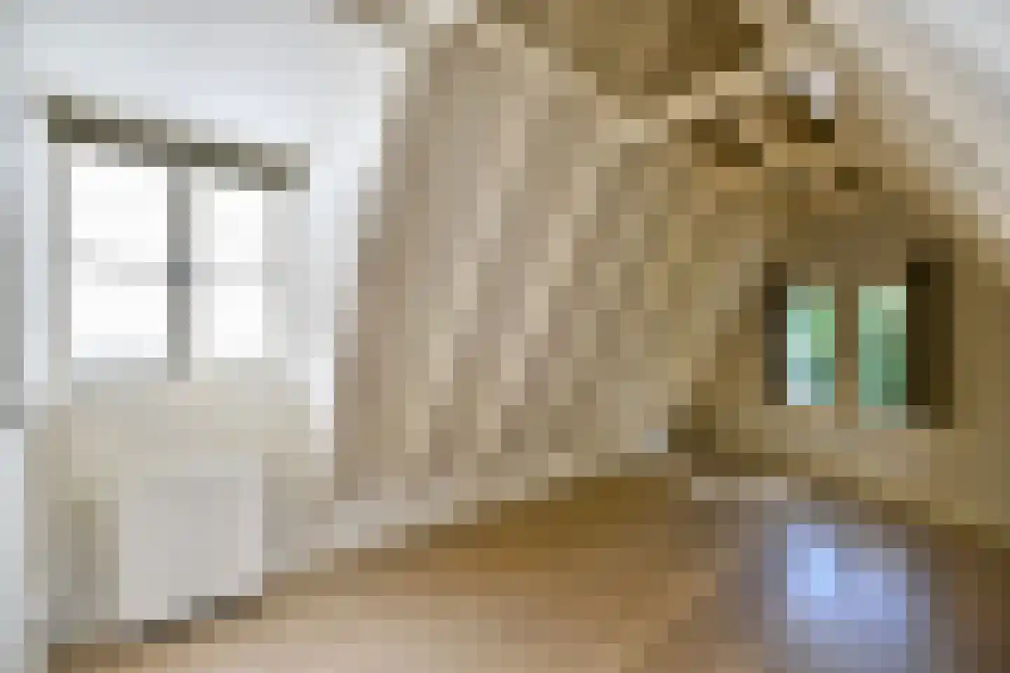 Prinsengracht 236 D Amsterdam thumbnail 15