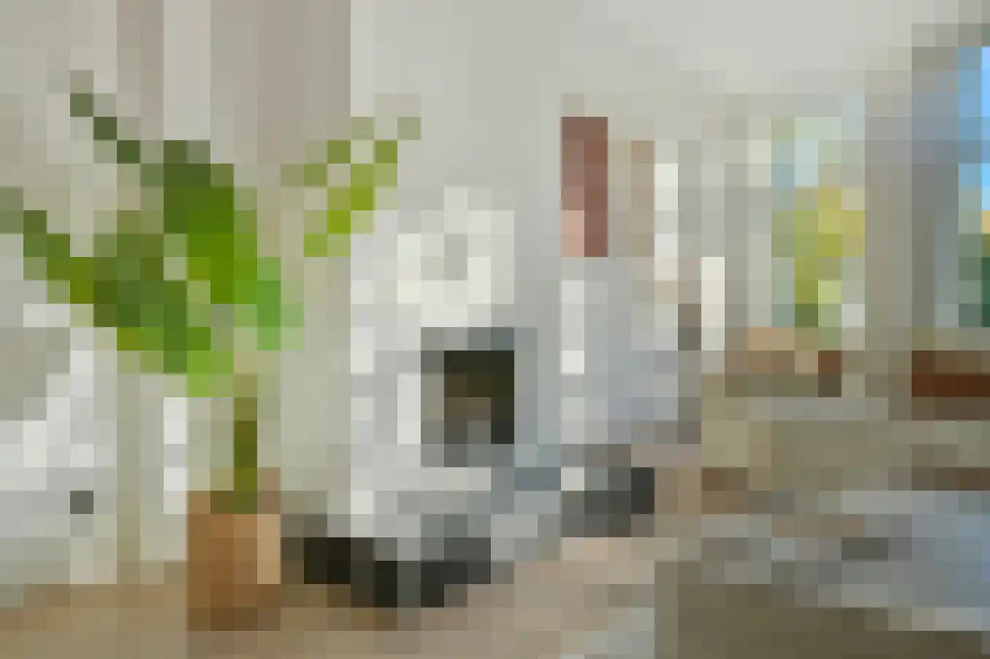 Prinsengracht 286 B Amsterdam thumbnail 8