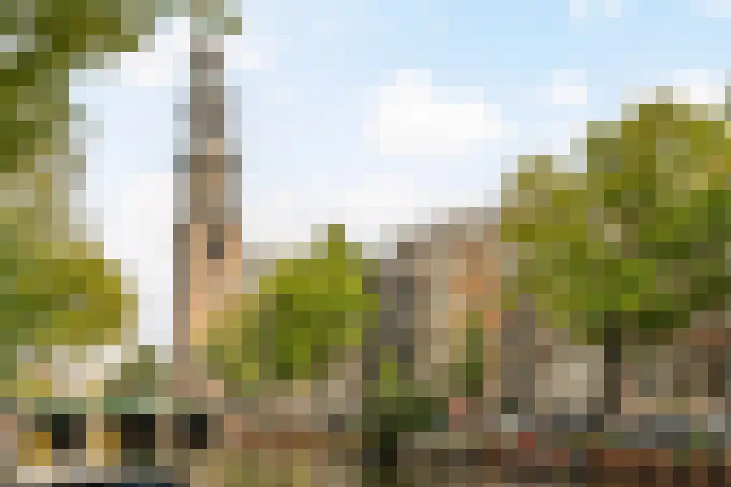 Prinsengracht 293 3 Amsterdam thumbnail 5