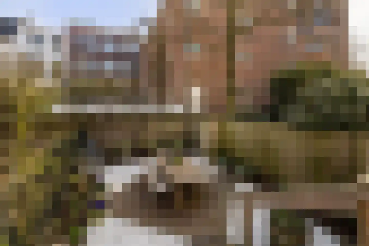 Prinsengracht 301 C Amsterdam thumbnail 13