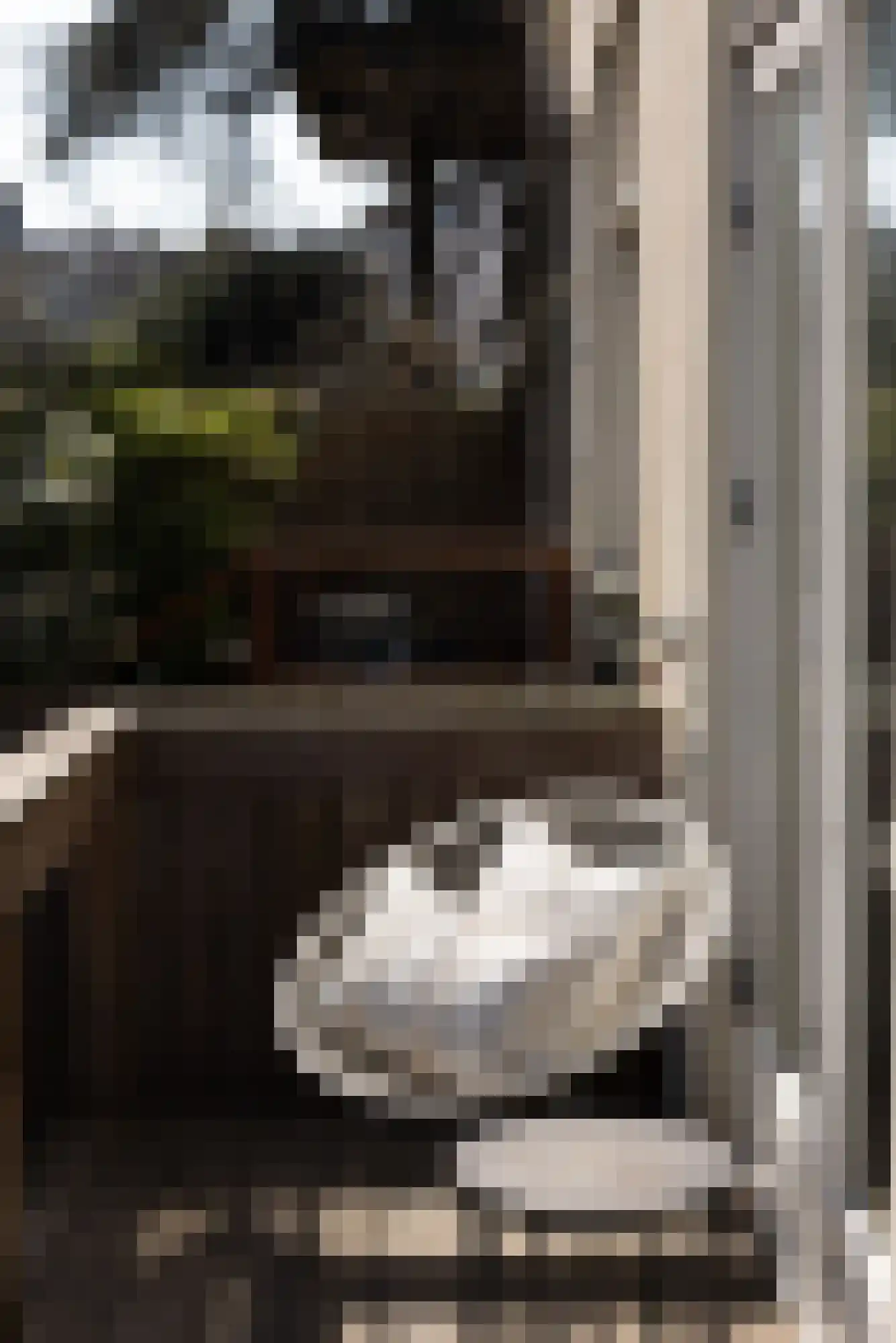 Prinsengracht 301 C Amsterdam thumbnail 16