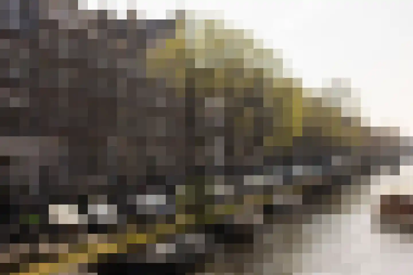 Prinsengracht 301 C Amsterdam thumbnail 28