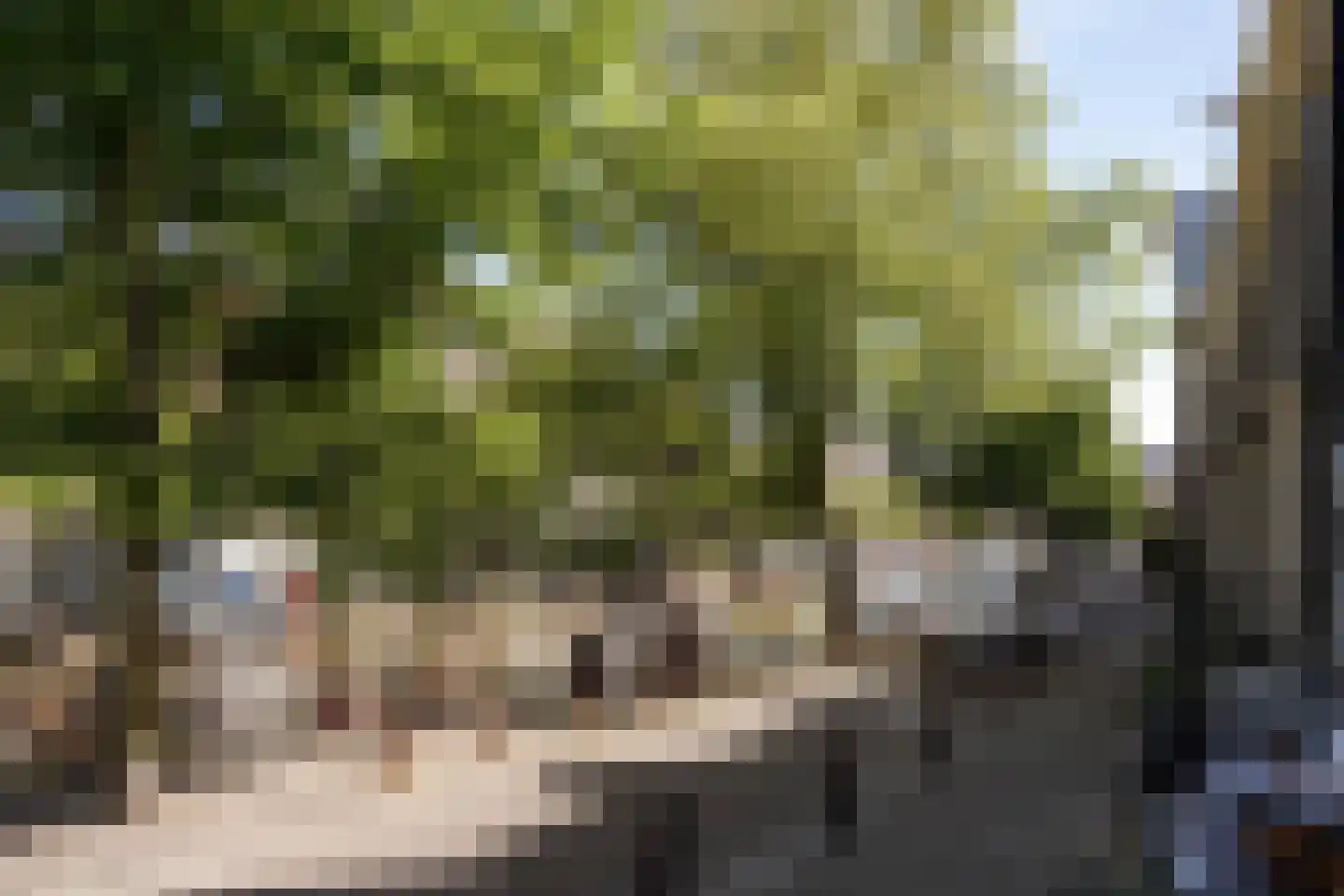Prinsengracht 334 F Amsterdam thumbnail 6