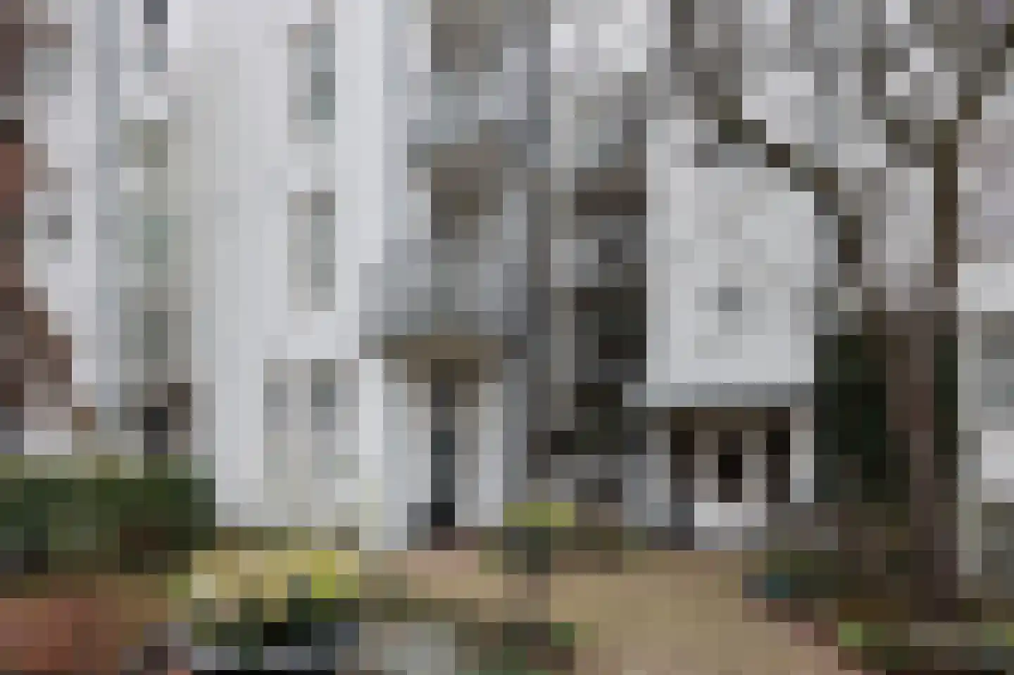 Prinsengracht 349 E Amsterdam thumbnail 24