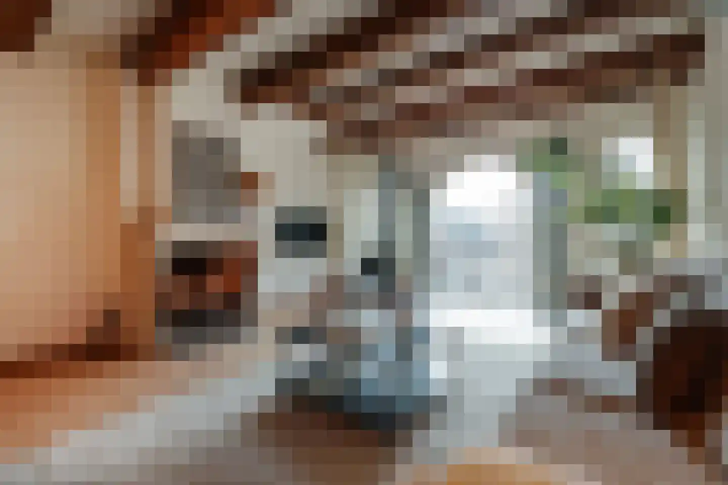 Prinsengracht 349 E Amsterdam thumbnail 4