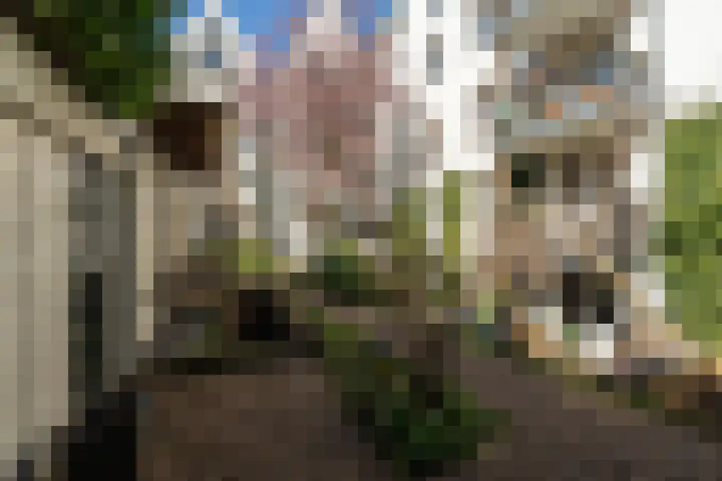 Prinsengracht 351 B Amsterdam thumbnail 35