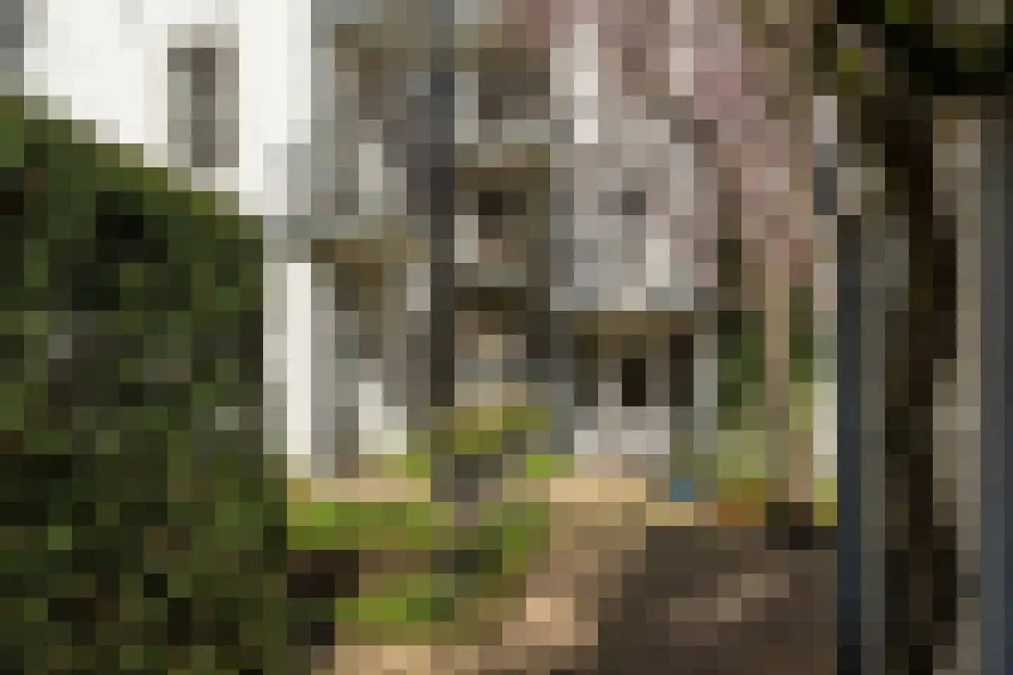 Prinsengracht 351 B Amsterdam thumbnail 36