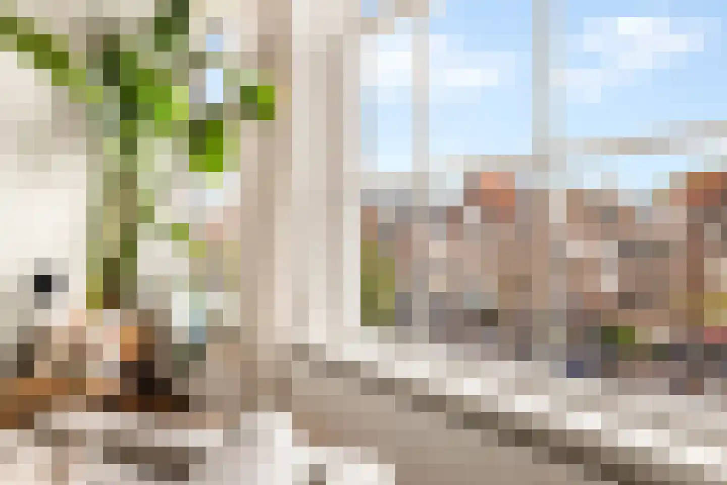 Prinsengracht 382 2 Amsterdam thumbnail 11