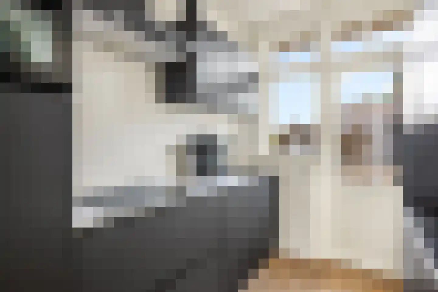 Prinsengracht 382 2 Amsterdam thumbnail 14