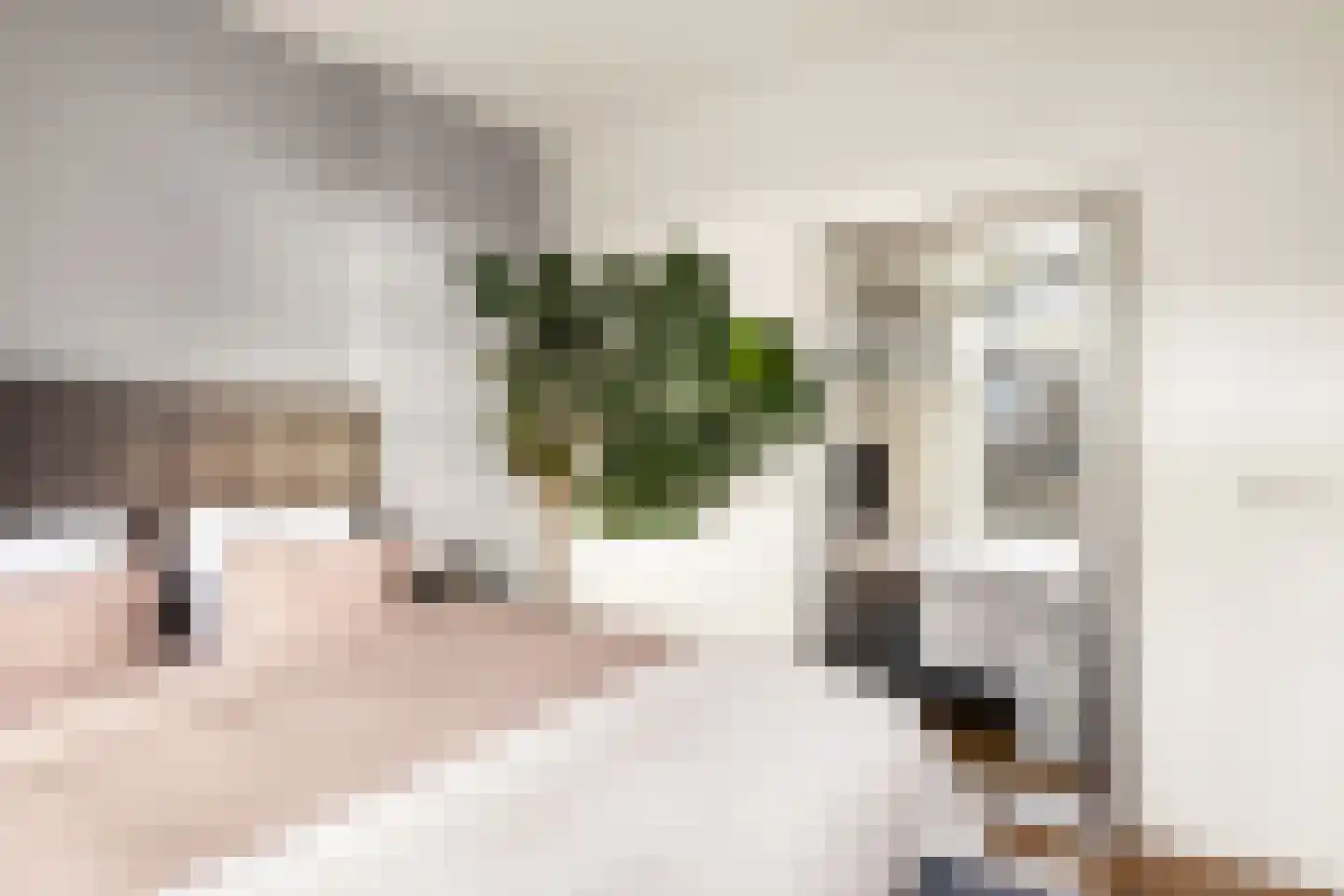Prinsengracht 382 2 Amsterdam thumbnail 19
