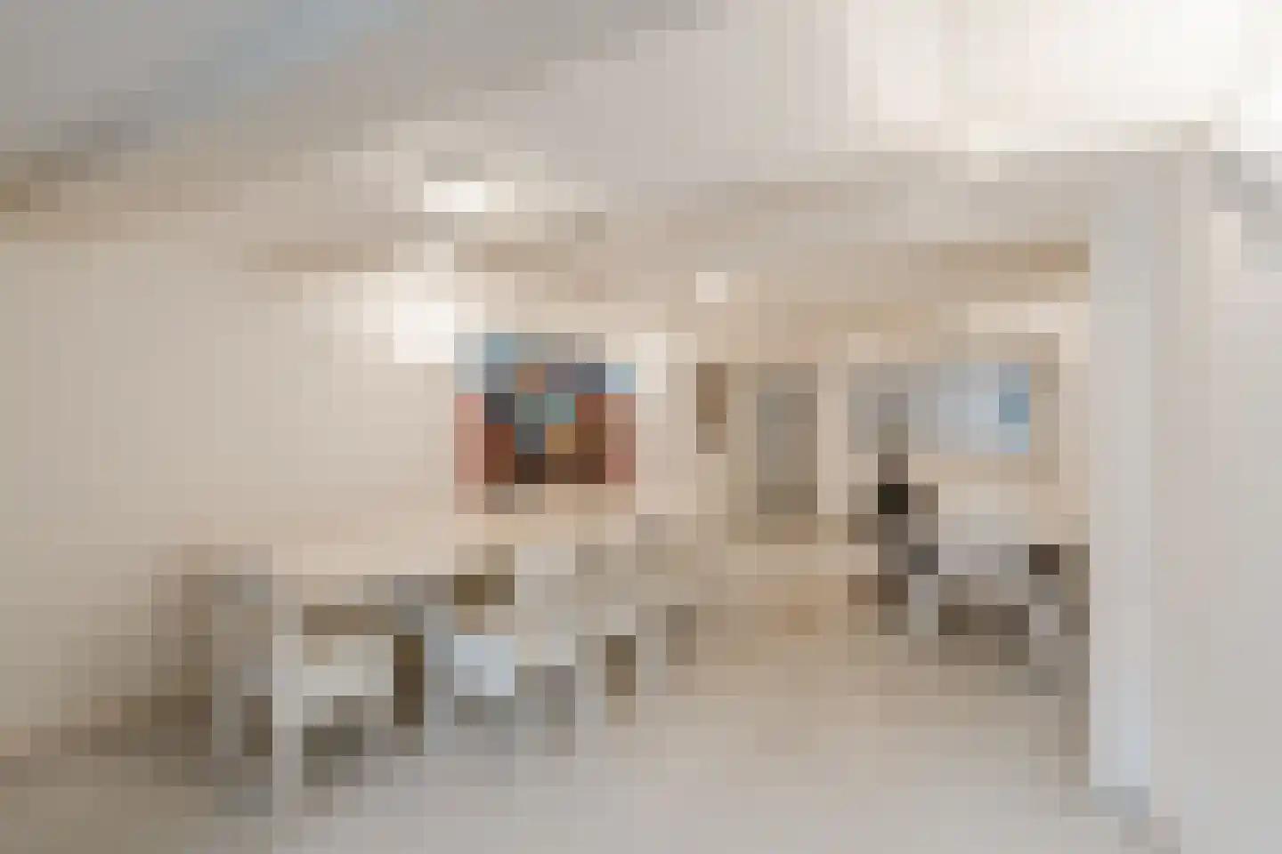 Prinsengracht 408 Amsterdam thumbnail 43