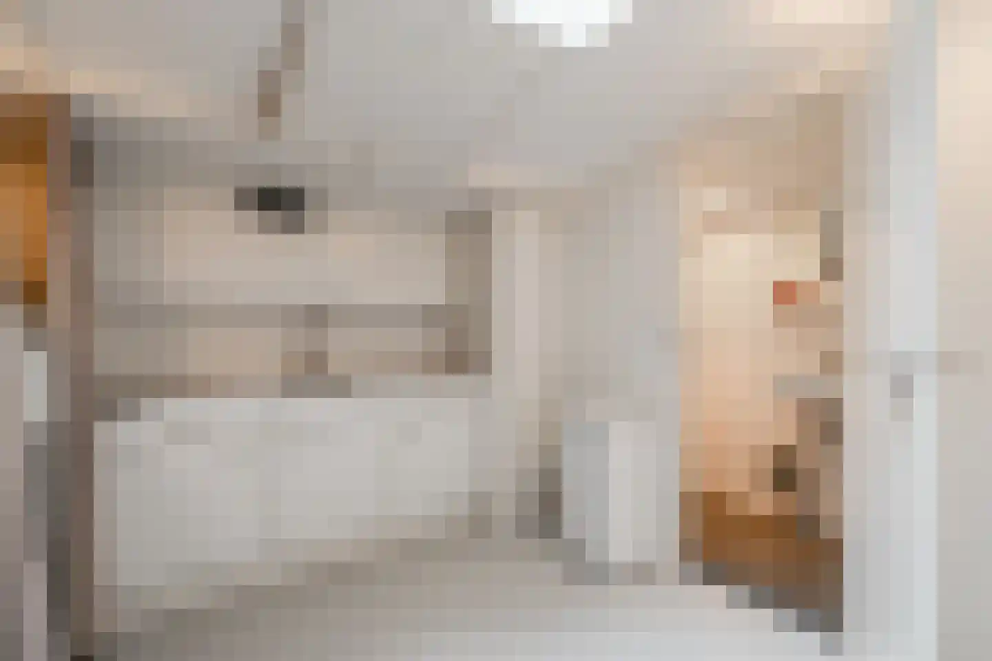 Prinsengracht 408 Amsterdam thumbnail 46