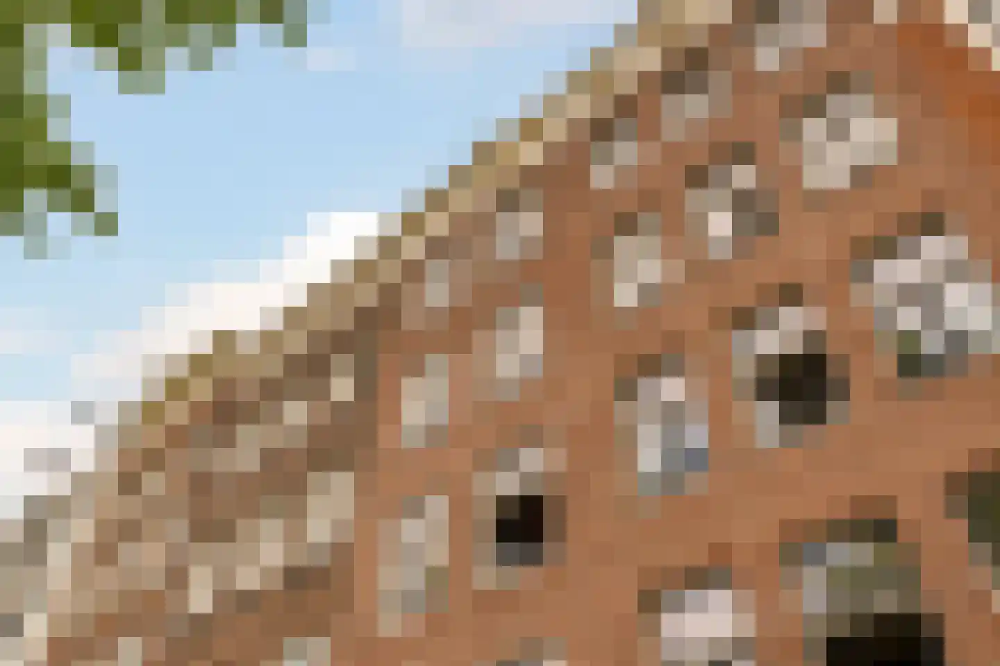 Prinsengracht 409 D Amsterdam thumbnail 4