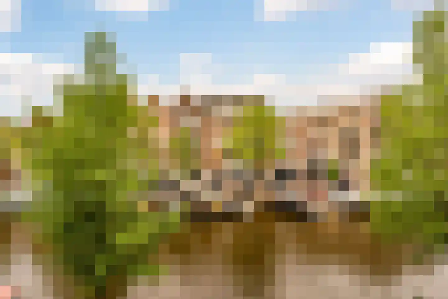 Prinsengracht 409 D Amsterdam thumbnail 7