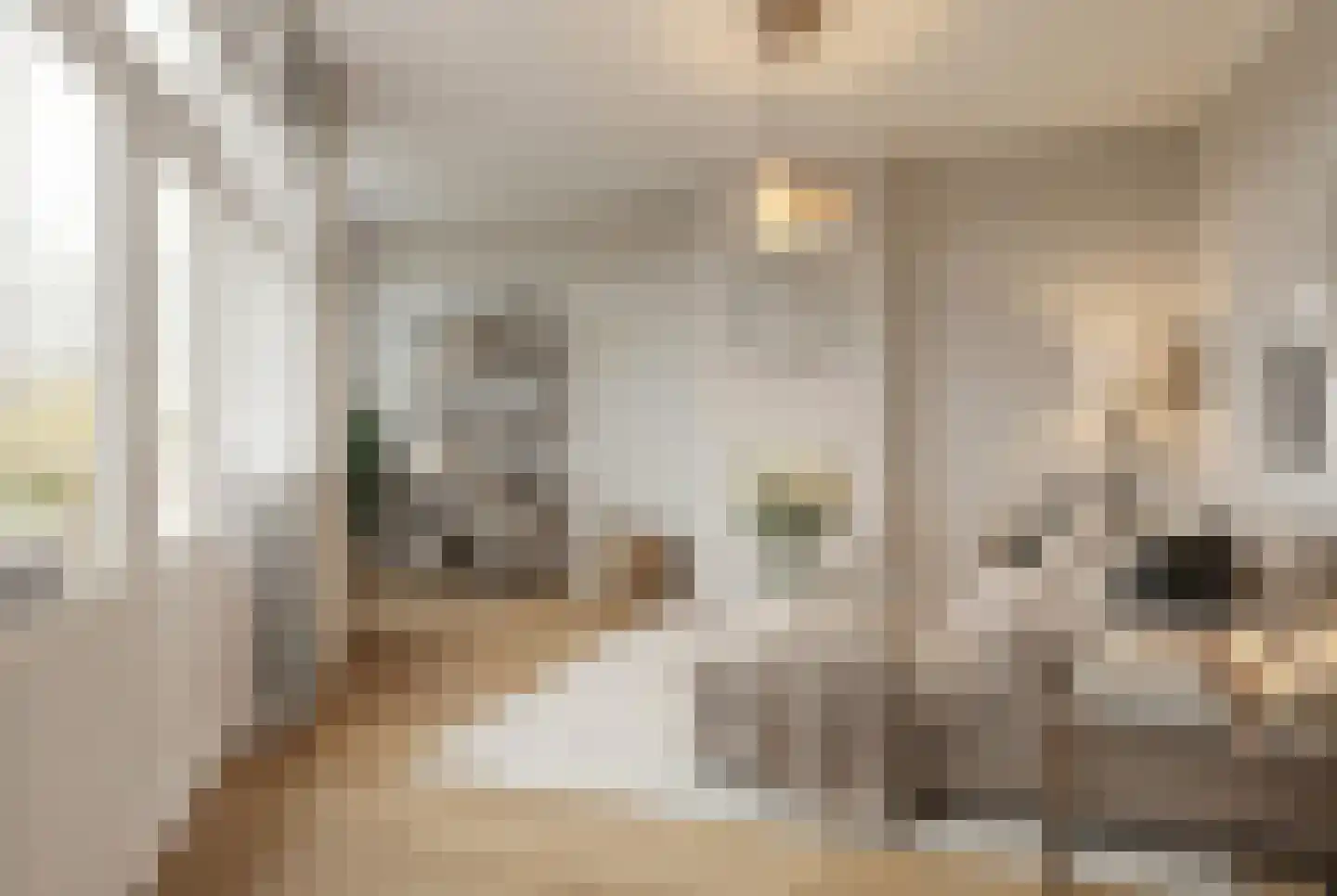 Prinsengracht 42 1 Amsterdam thumbnail 4