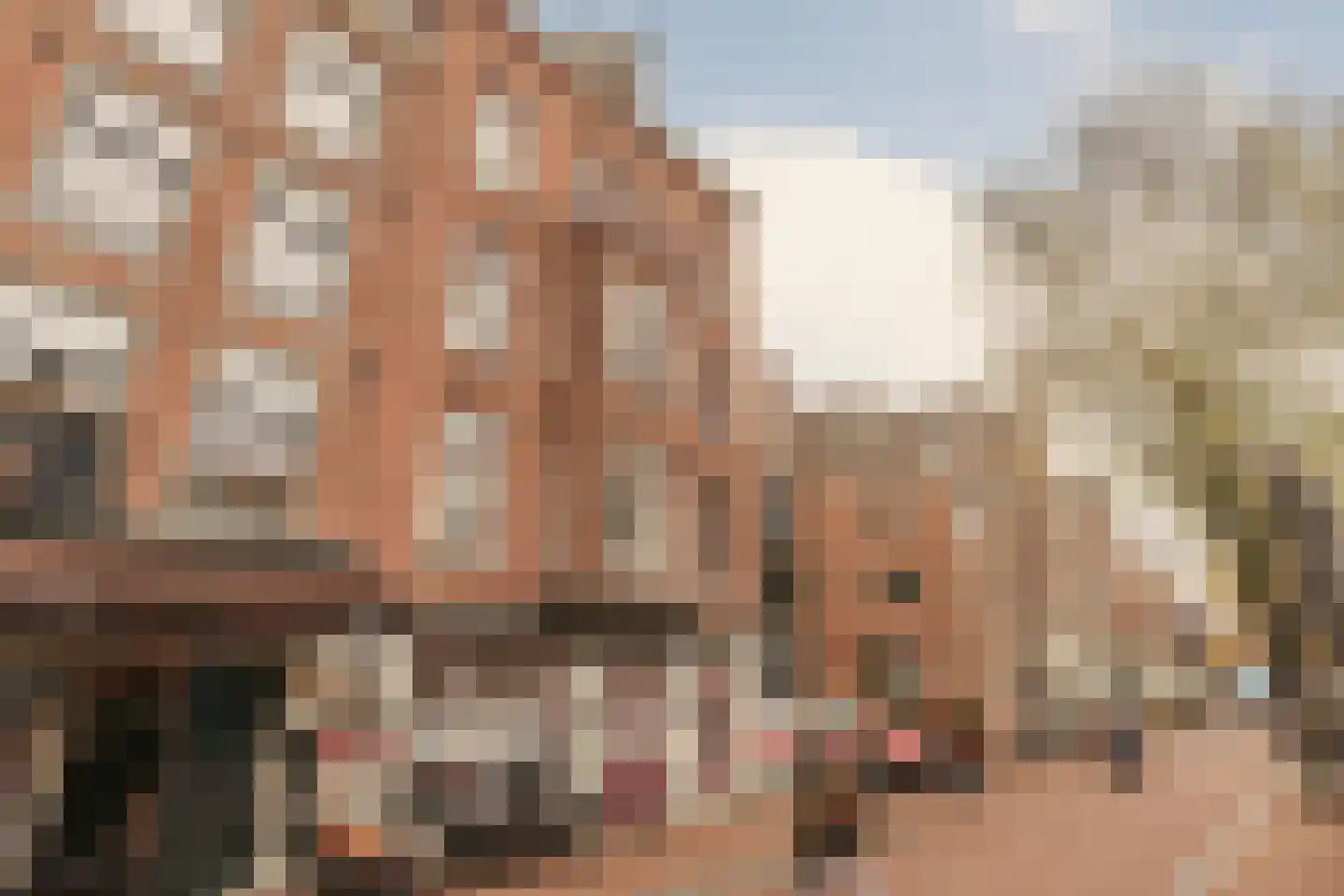 Prinsengracht 42 1 Amsterdam thumbnail 44