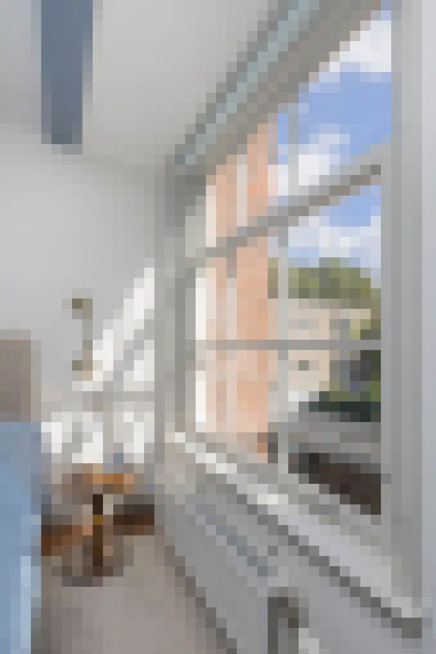 Prinsengracht 449 B Amsterdam thumbnail 20