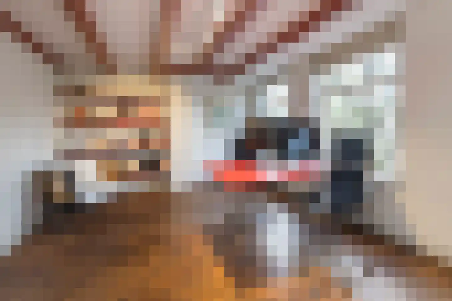 Prinsengracht 449 B Amsterdam thumbnail 23