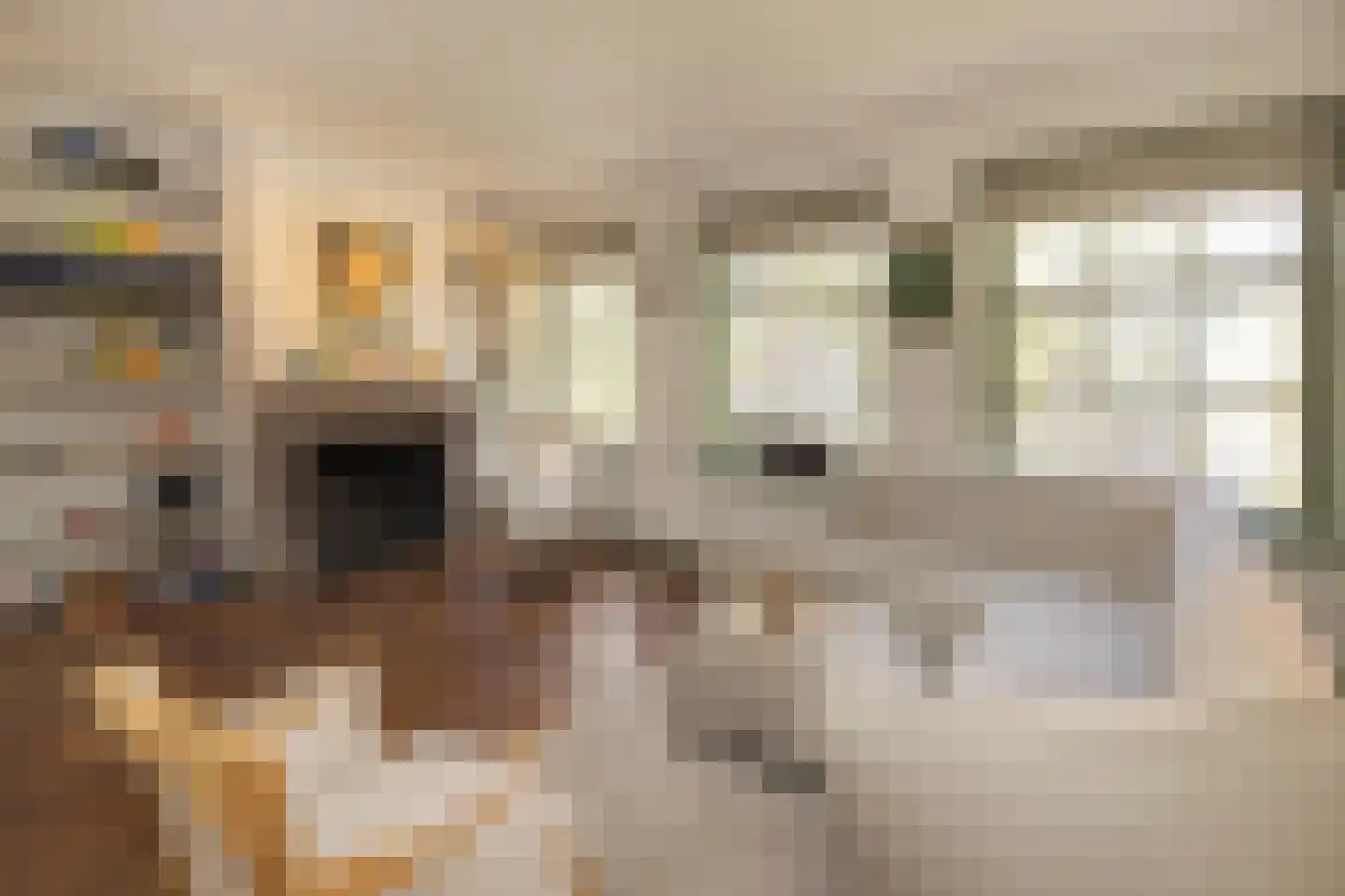 Prinsengracht 449 B Amsterdam thumbnail 4