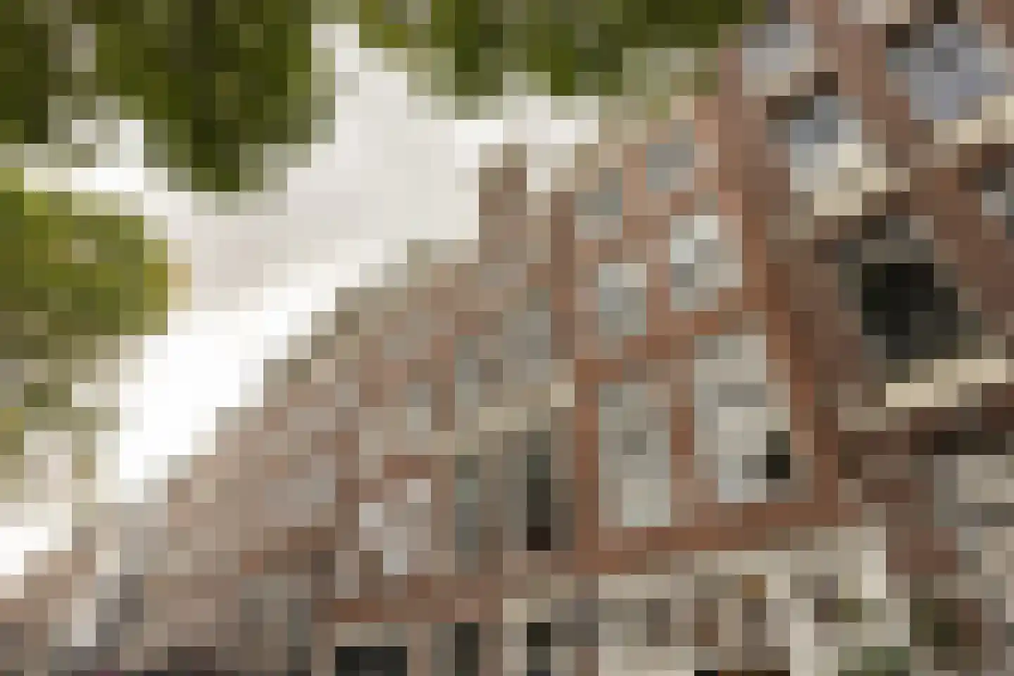 Prinsengracht 468 Amsterdam thumbnail 32