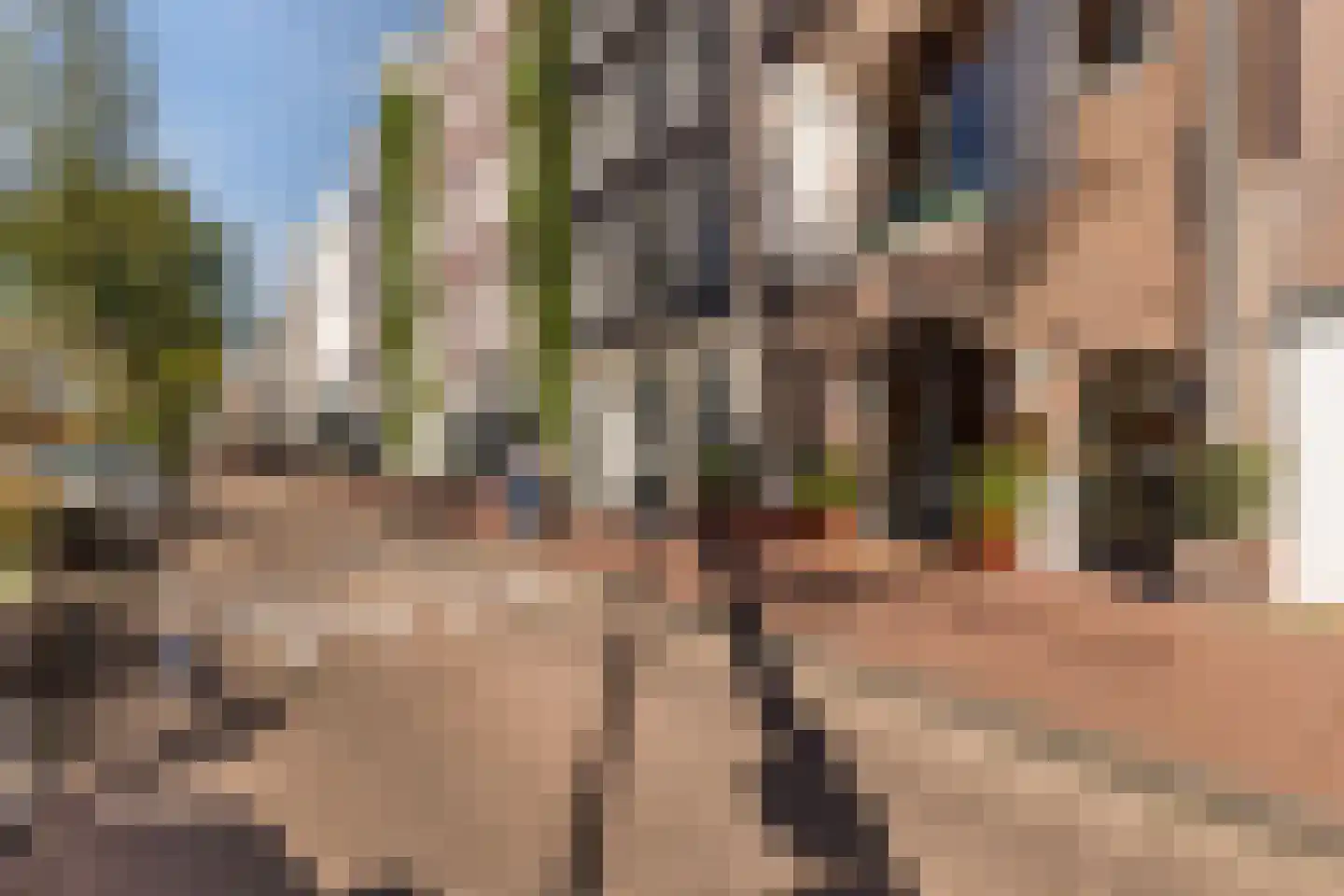 Prinsengracht 491 B Amsterdam thumbnail 7