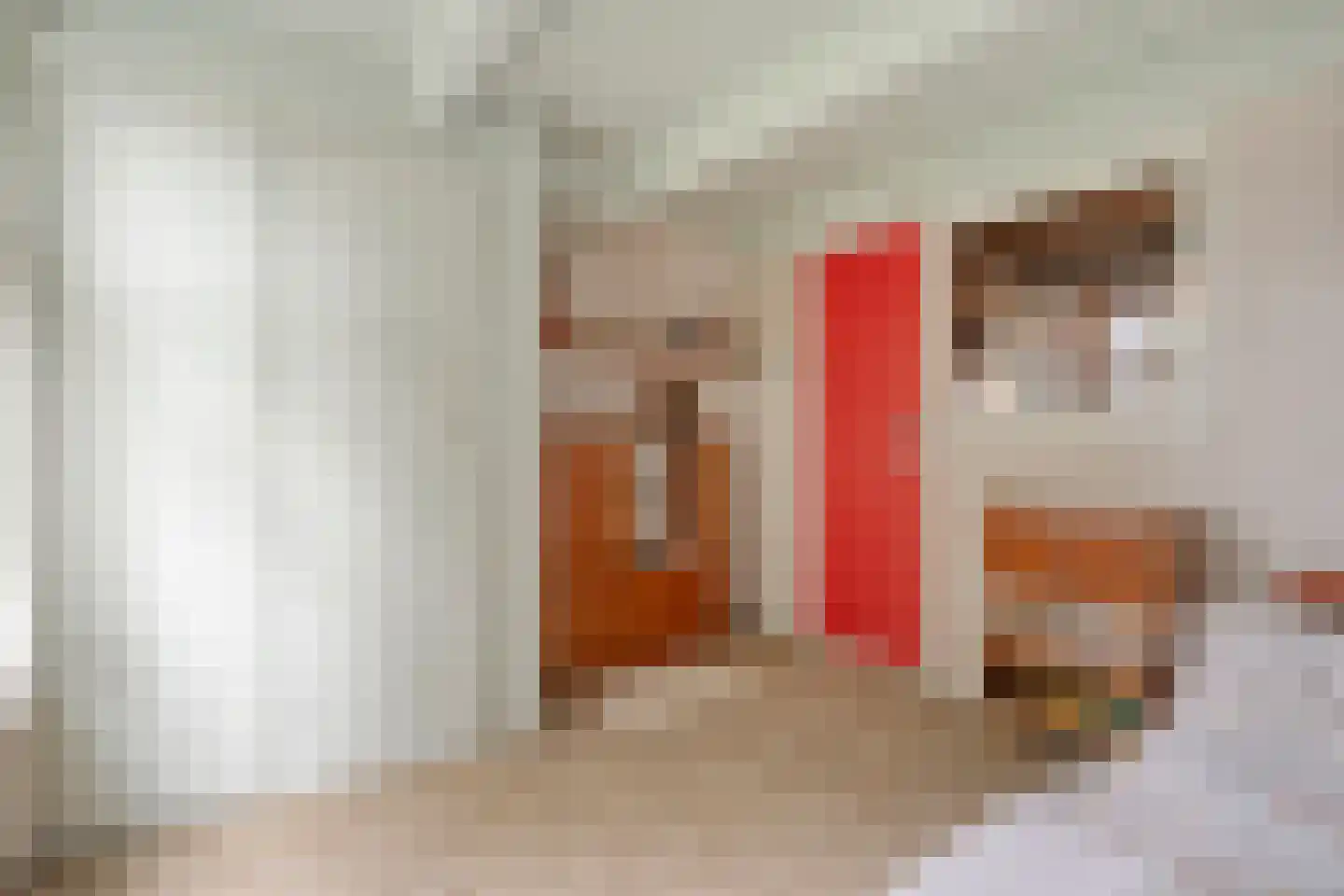 Prinsengracht 5 Hasselt thumbnail 32