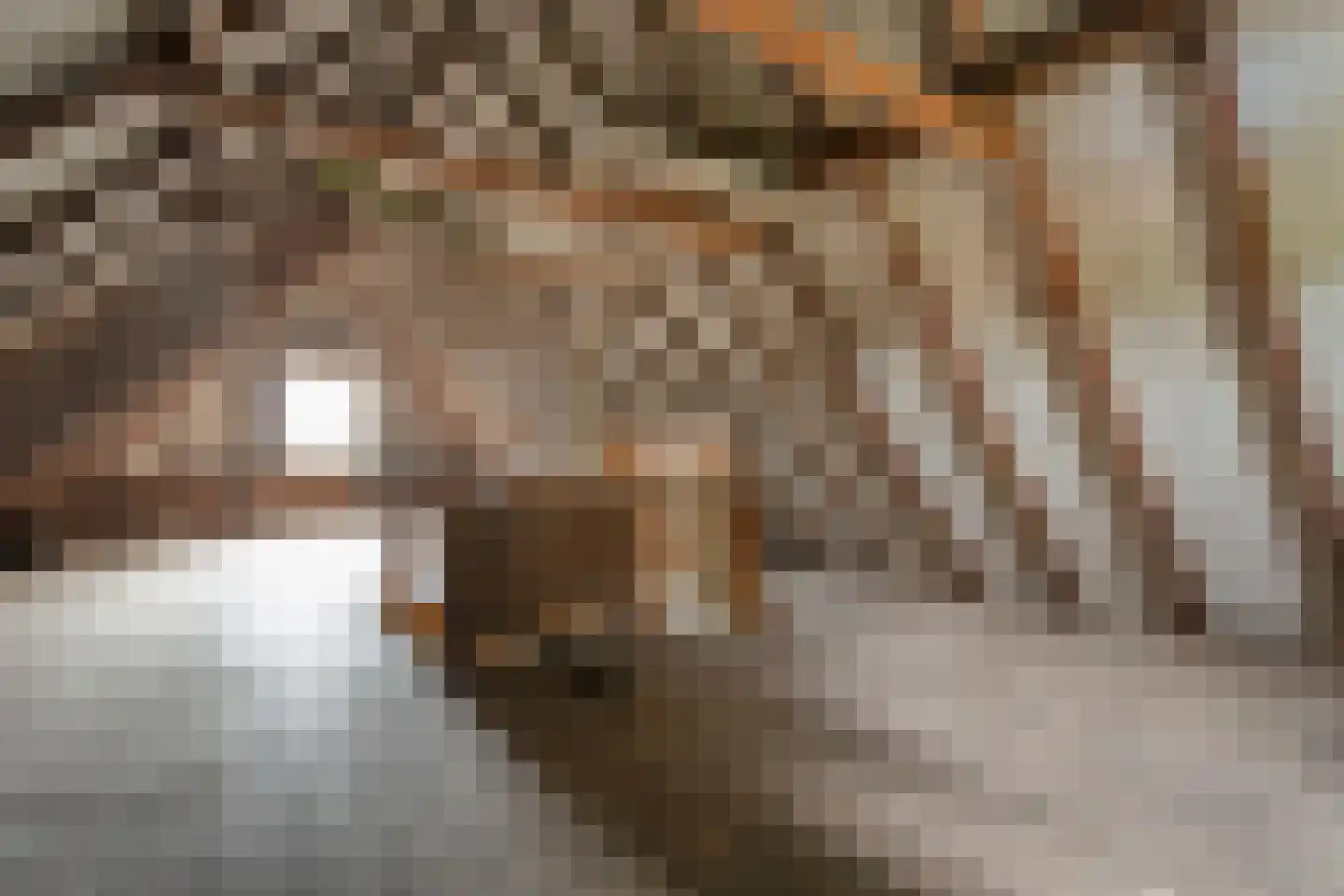 Prinsengracht 5 Hasselt thumbnail 37