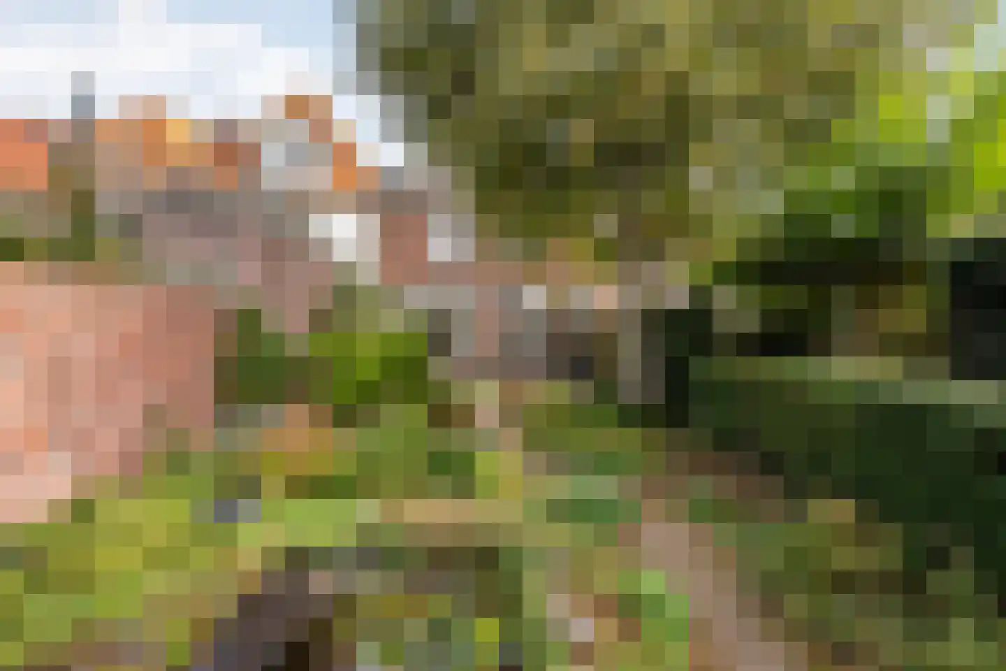 Prinsengracht 5 Hasselt thumbnail 40