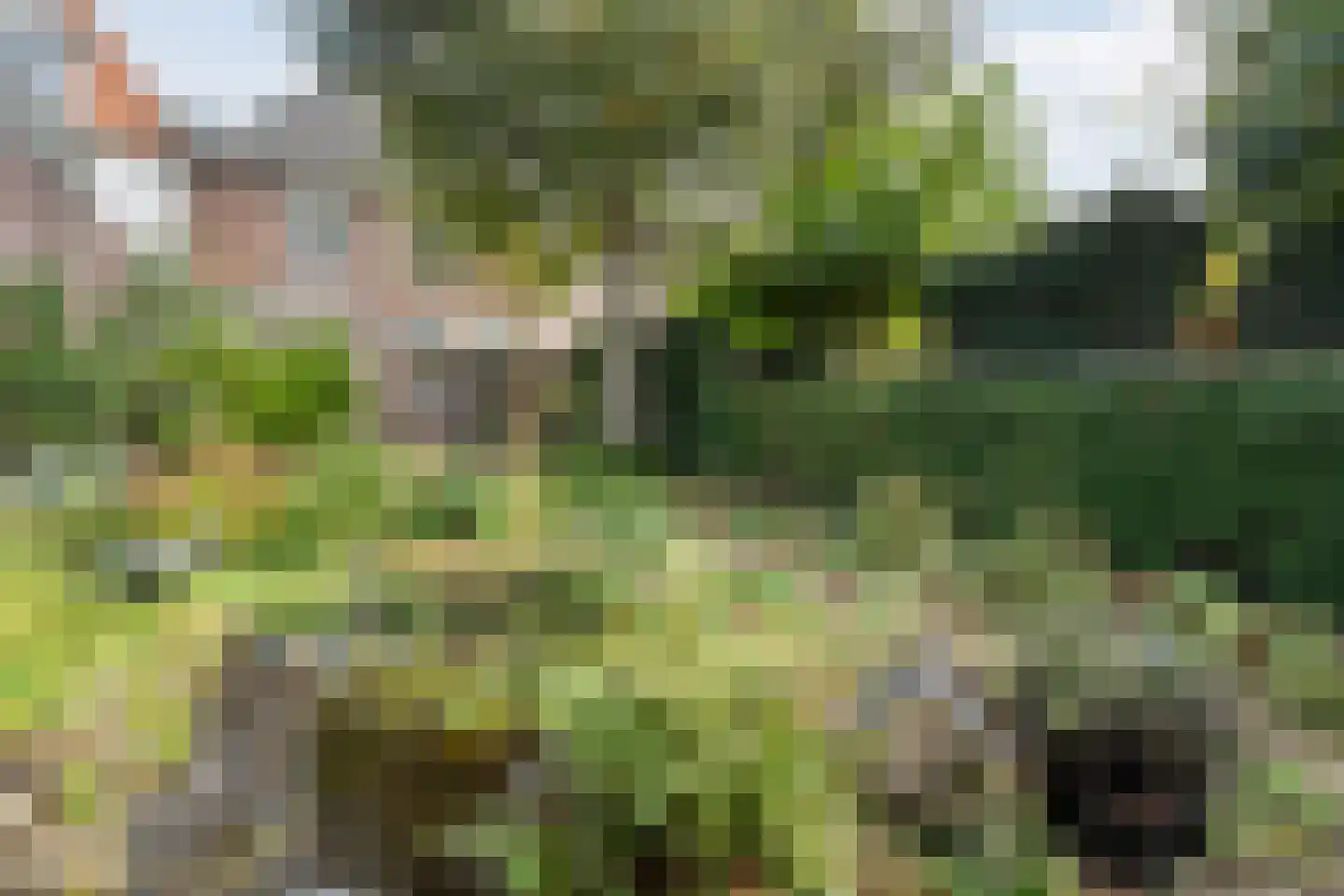Prinsengracht 5 Hasselt thumbnail 41
