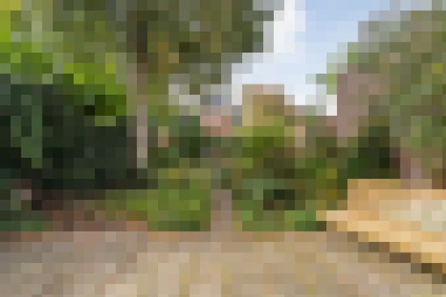 Prinsengracht 5 Hasselt thumbnail 44