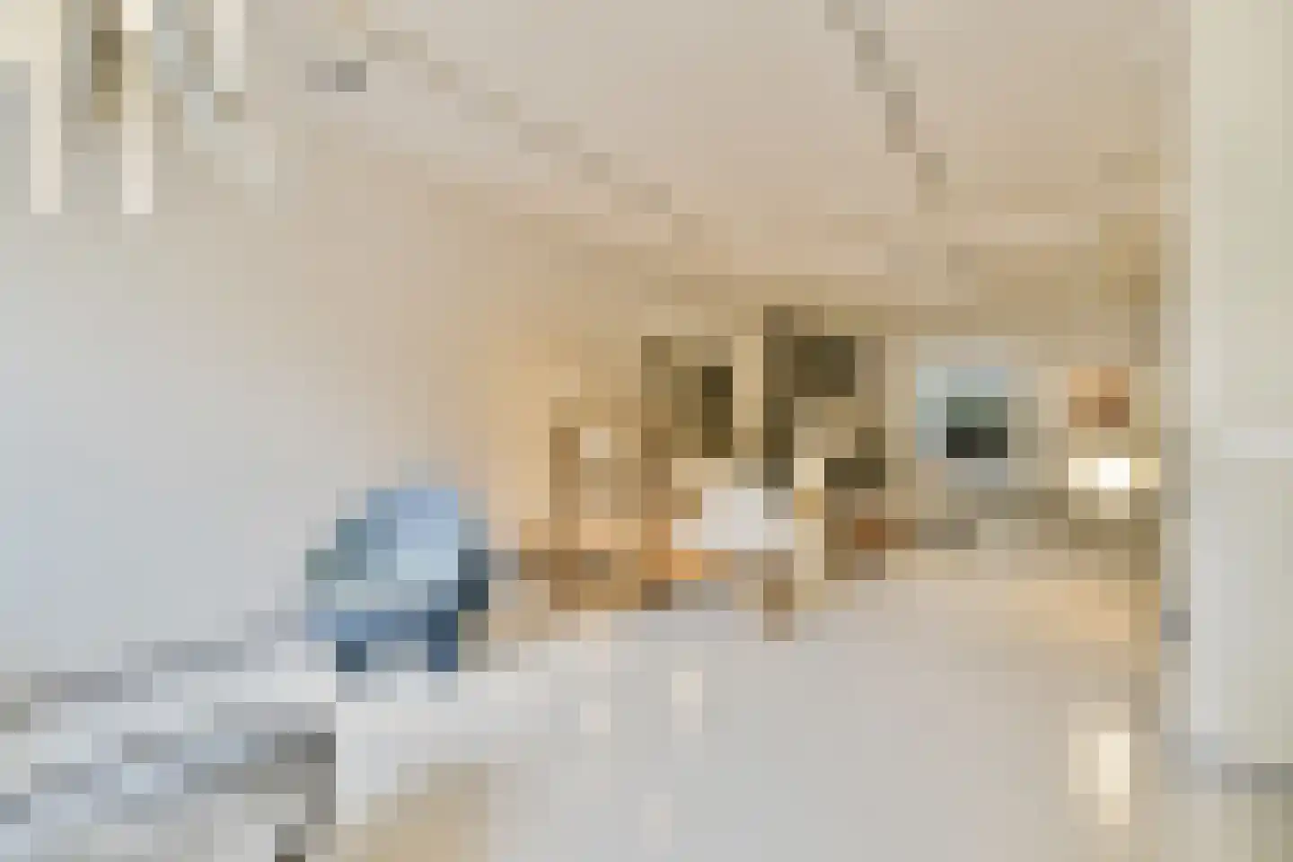 Prinsengracht 510 O Amsterdam thumbnail 11