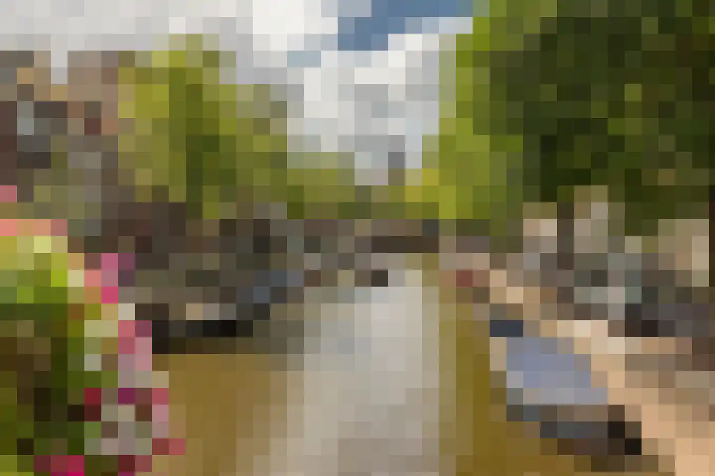 Prinsengracht 514 A Amsterdam thumbnail 64