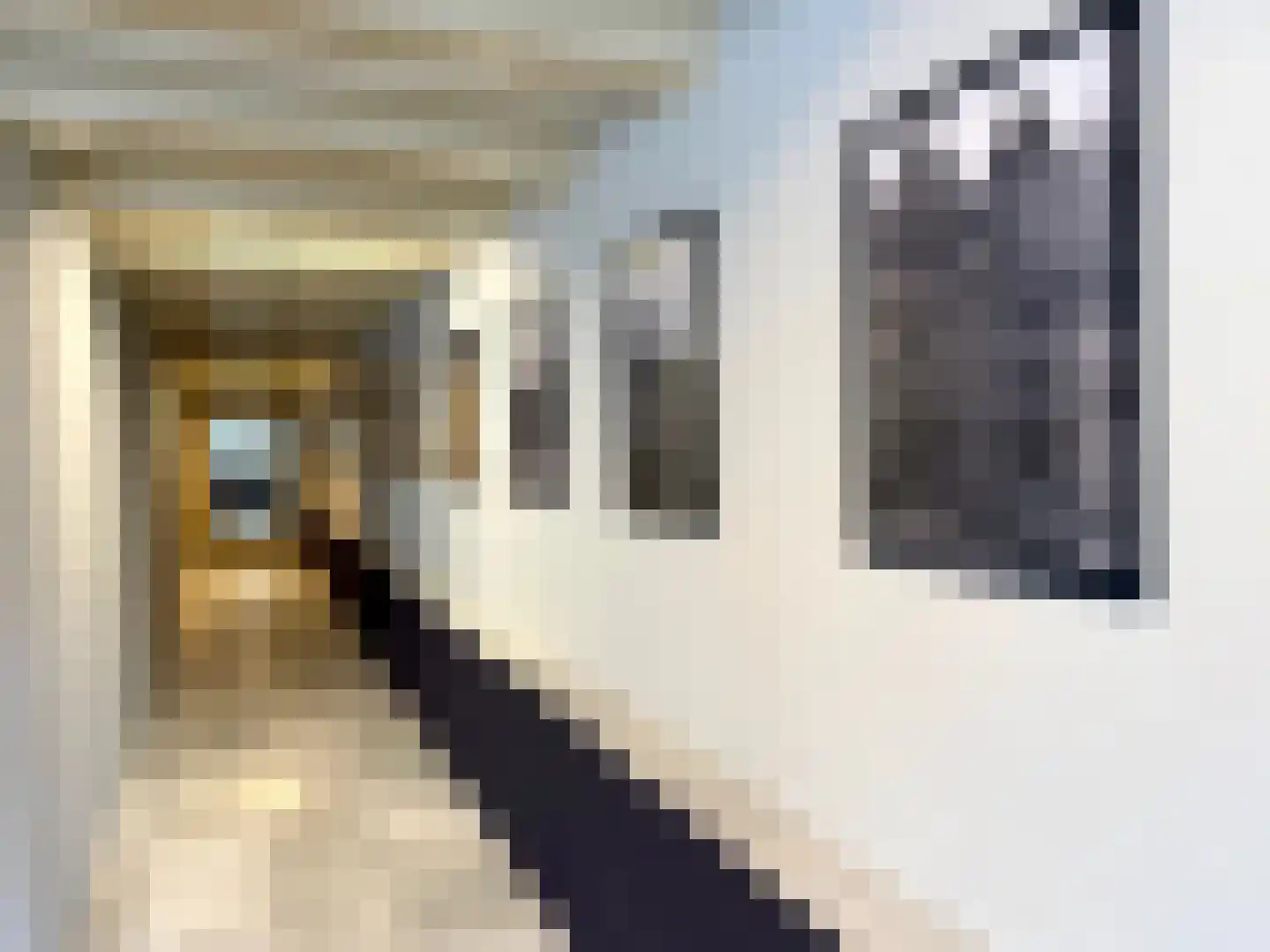 Prinsengracht 536 1 Amsterdam thumbnail 9